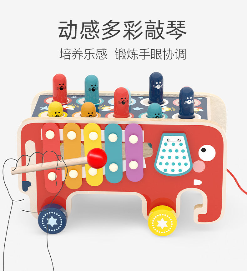 Elephant pounding activity bus colors