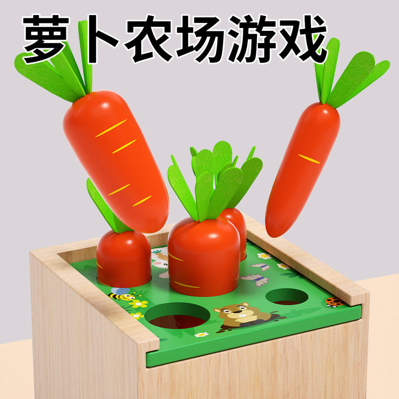 Five-in-one wooden learning box details for fishing, shape, ball and carrot games