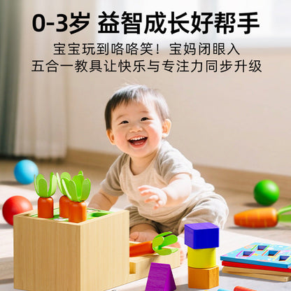 Five-in-one wooden learning box details for fishing, shape, ball and carrot games